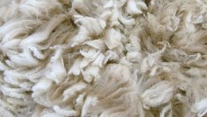 Učestvujte na Europskom danu vune 09. aprila 2021.godine